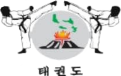 Taekwondo logo
