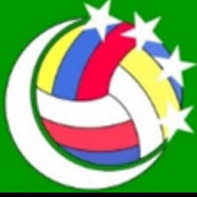 Volley ball logo