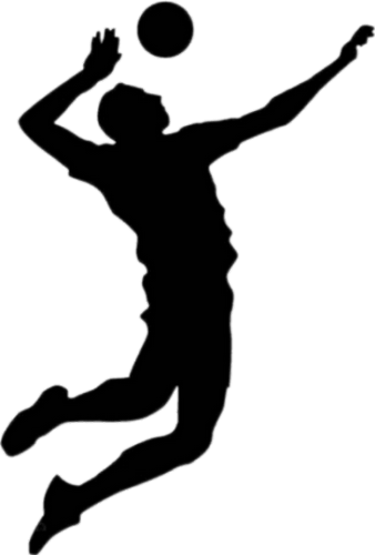 Silhouette beach volley